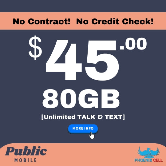 Public Mobile 4