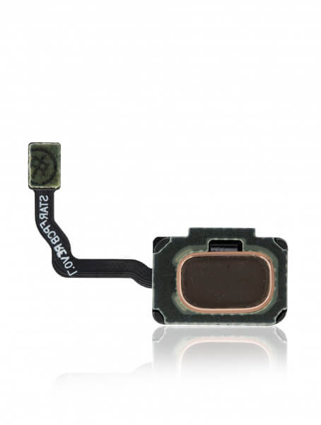 Samsung Galaxy S9 Plus Fingerprint Reader with Flex Cable Replacement