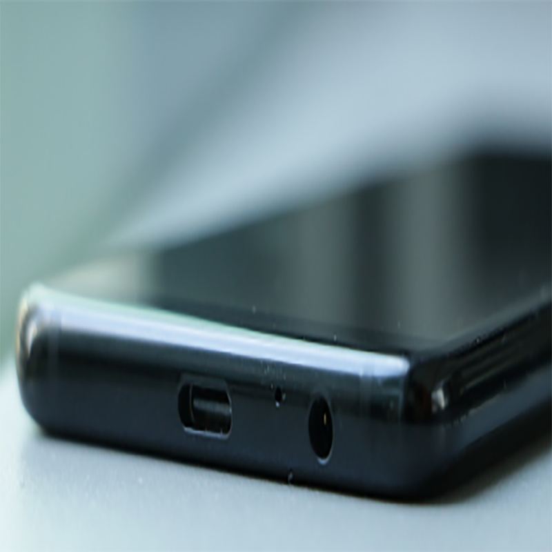 Samsung A-800 Charging Port